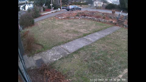 Large Tree Falls on Neighbor