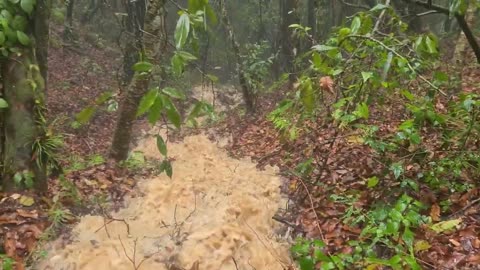 Hiking during heavy rain