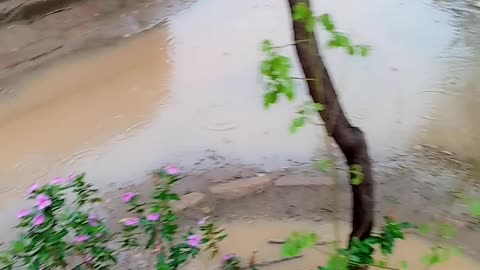 Rain in village season 🔥