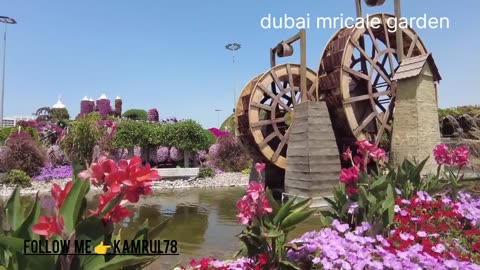 Dubai mricale garden part.2