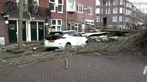 Tree falls on cars as Eunice batters Europe