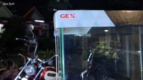 Unboxing Aquarium Gex Glassterior