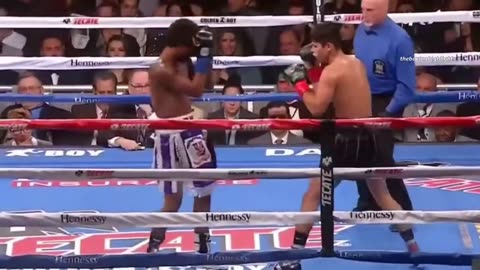 funny Boxing moments