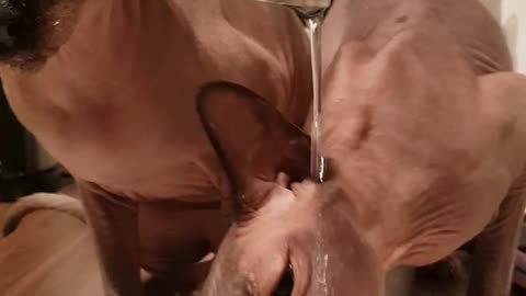 When water taste likes wine