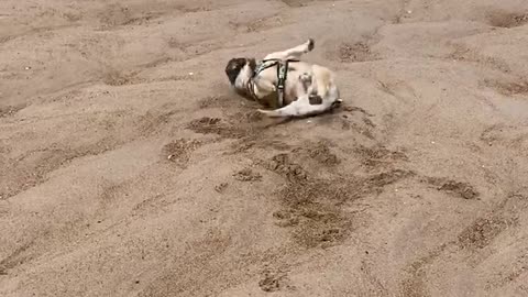 Beach days are the best