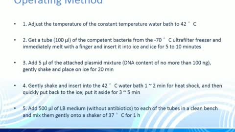 Escherichia Coli Transformation Experiment Guide