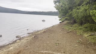 Hiking Up the Cliffs at Gone Creek Campground – Timothy Lake – Mount Hood – Oregon – 4K