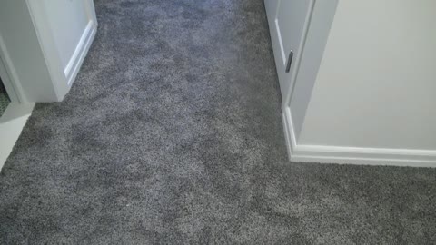 92 sq yds of Mohawk Air.o Carpet, style Fresh Start l, color #969 Pavement in a basement.