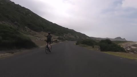 2 Cyclists chased by an ostrich