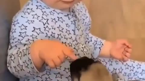 Cute little Baby Boy Playing with Pug Puppies