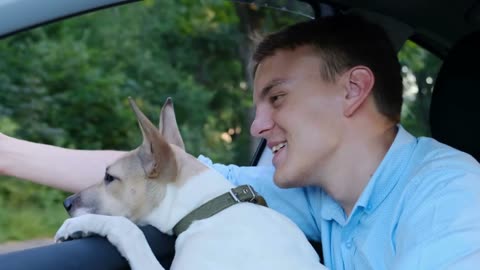 Cheerful owner with a dog riding in a car leaning out the window