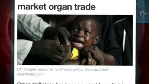 Just Headlines of satanic sex trafficking and organ harvesting around the world 🌎