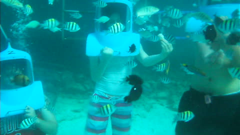 SJA to Boracay Finding Nemo