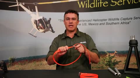 Hobbles From Wildlife Capture Equipment