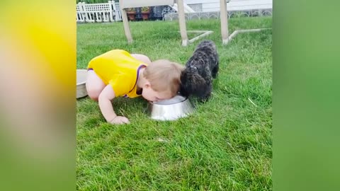 Babies and Cute Dogs are Best Friends - Dogs Babysitting Babies Video