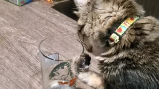 Booger Takes a Drink