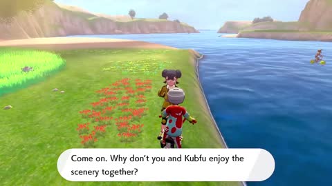 Pokémon Sword - How to Sightsee with Kubfu