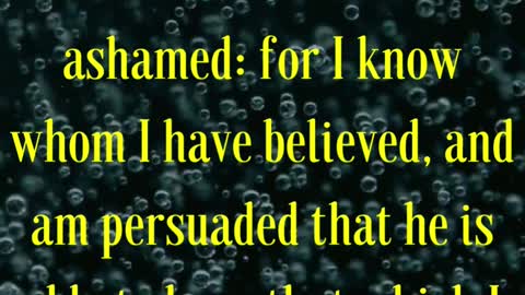 BIBLE VERSE FOR THE DAY... For the which cause I also suffer these things: nevertheless I am....