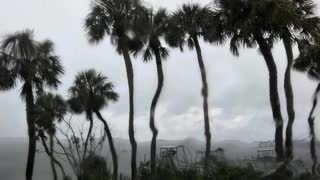 Rain in Florida