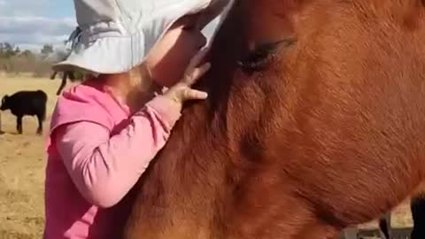 Child And Horse Play