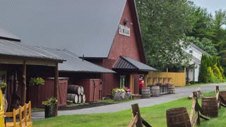 SARATOGA SPRINGS NY | WHAT TO DO | THE SARATOGA WINERY (4k)