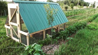 Growing Food for the Year on 1/4 Acre | Self Sufficient Garden Tour | Three Sisters Garden