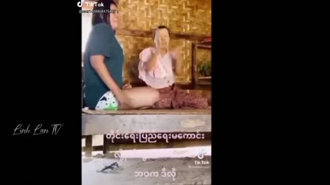 The Ultimate Comedy Compilation, Funny videos
