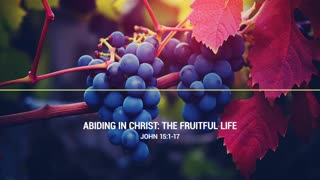 Abiding in Christ: The Fruitful Life