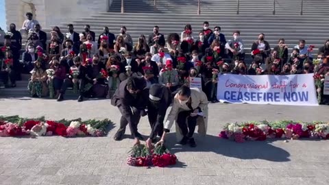 Congressional staffers lay roses and demand Gaza ceasefire