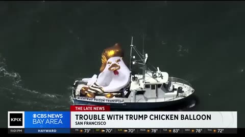 Bay Area Trump Chicken Balloon Went Flat