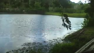Filming the lake in the park on the other side, a beautiful place [Nature & Animals]