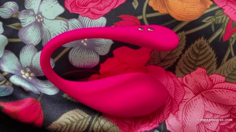 Why VibratorGuru.com's Sex Toy Reviews Are Unmatched?