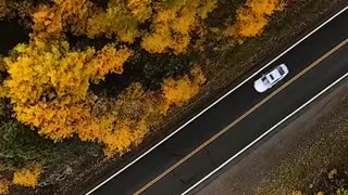 San Juan Forest, Colorado