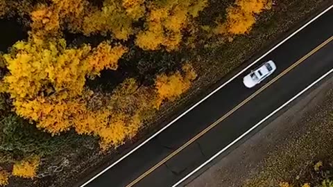 San Juan Forest, Colorado