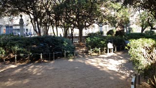 A garden in Barcelona