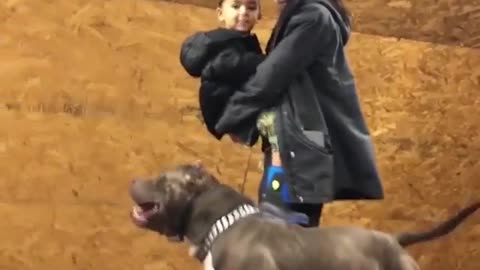 This pitbull is trained to protect this baby at all costs 😳😳…