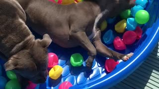 Ball pit heaven