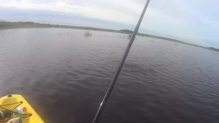 Bluegill Gold on Salt Lake in Brevard County, Florida