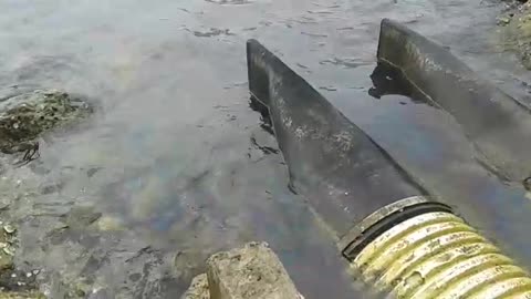 Derrame de hidrocarburos en el Muelle Navas