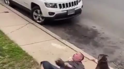 Man Incapable Of Controlling His Dog Catches Hands