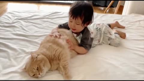cute baby and cute cat video | baby and cat funny
