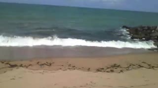Gravando o mar na areia da praia, as ondas vem e vão a todo momento [Nature & Animals]