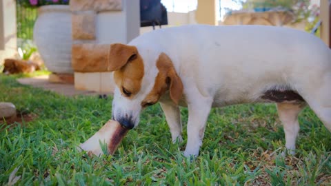 Dylan having fun with a toy