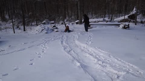 Paul Sledding 3