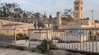 Series1: Jerusalem cats Day6 (Vid1)