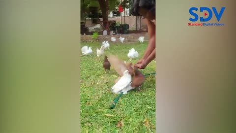 Ida Odinga excited as she feeds doves from the palms of her hands