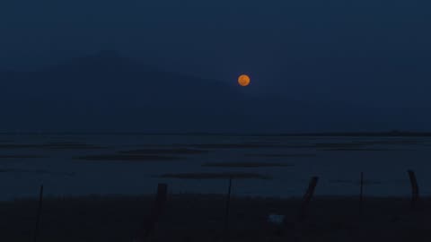 Skyline of a desert with the moon at night