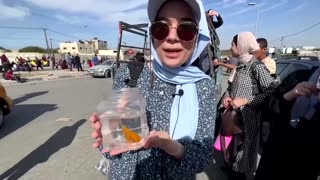 Displaced Palestinians carry their pets amid conflict