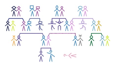 Family tree infographic animation shows the merging of two families by marriage or offspring