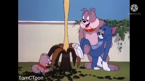 "That's My Pup!" Tom And Jerry - 076 (1953)